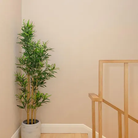 Local 167 - Oporto View House *