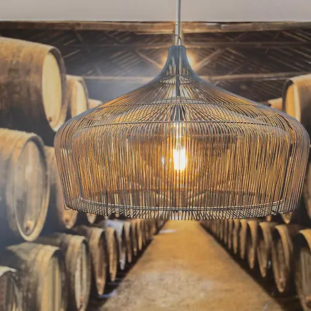 Local 167 - Oporto View House *