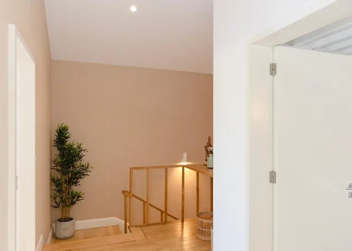 Local 167 - Oporto View House